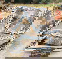 Nathalia  Memorial Gardens - Tourism Adelaide