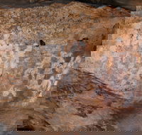 Ngamadjidj Shelter - Wartook Valley - Tourism Adelaide