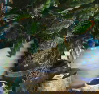 Noreen's Seaside Shop - Tourism Adelaide