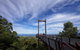Orara East State Forest - thumb 0