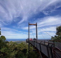 Orara East State Forest - Tourism Adelaide