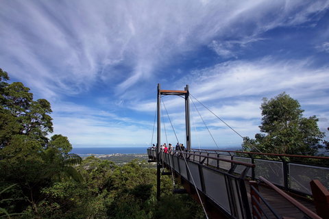 Orara East State Forest - Tourism Adelaide 0