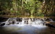 Orara East State Forest - thumb 2