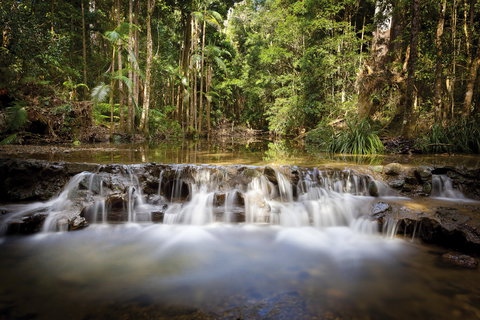 Orara East State Forest - Tourism Adelaide 2