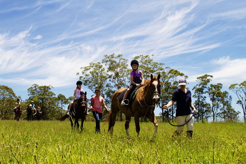 Port Macquarie Horse Riding Centre - Tourism Adelaide 0