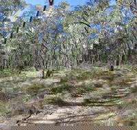 Reef Hills State Park - Tourism Adelaide