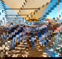 Roma - Tourism Adelaide