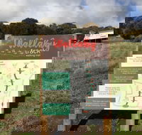 The Wallaby Track - Tourism Adelaide