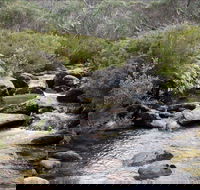 Thredbo River Track - Tourism Adelaide