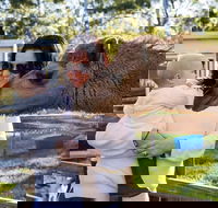 White Ridge Farm - Tourism Adelaide