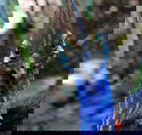 Wildlife Habitat - Tourism Adelaide