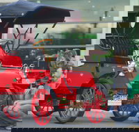 Wonders of Wynyard  Exhibition and Visitor Information Centre - Tourism Adelaide