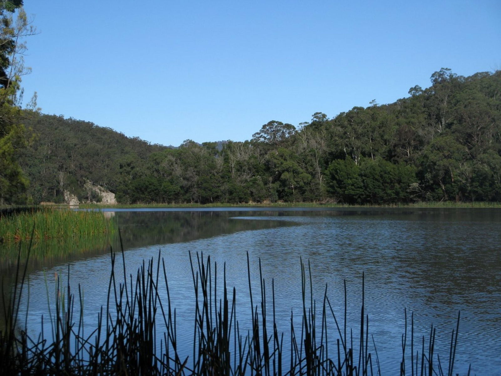 Yalwal NSW Tourism Adelaide