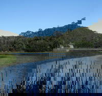 Yalwal - Tourism Adelaide
