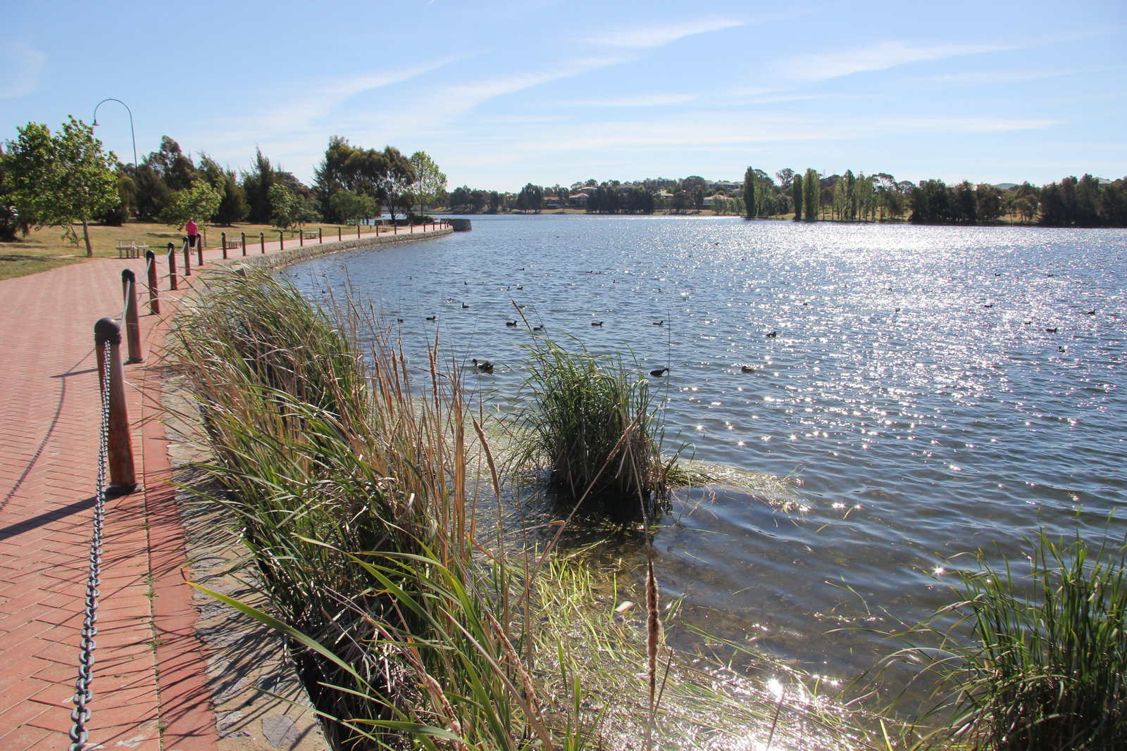 Amaroo ACT Tourism Adelaide