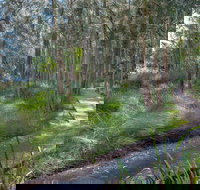 Anabranch Loop Track