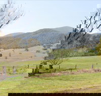 Banimboola Creek Rest Area - Tourism Adelaide