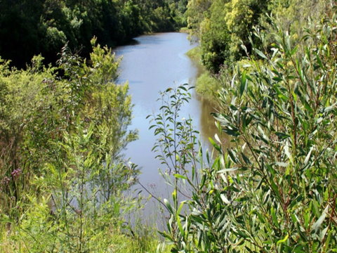 Blue Gum Hills Regional Park - Tourism Adelaide 1