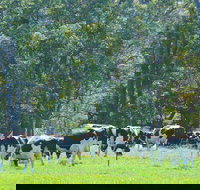 Boyanup - Tourism Adelaide