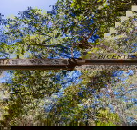 Bribie Island Bicentennial Trails - Tourism Adelaide