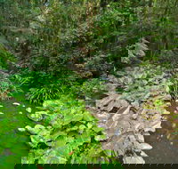 Brindle Creek Picnic Area - Tourism Adelaide
