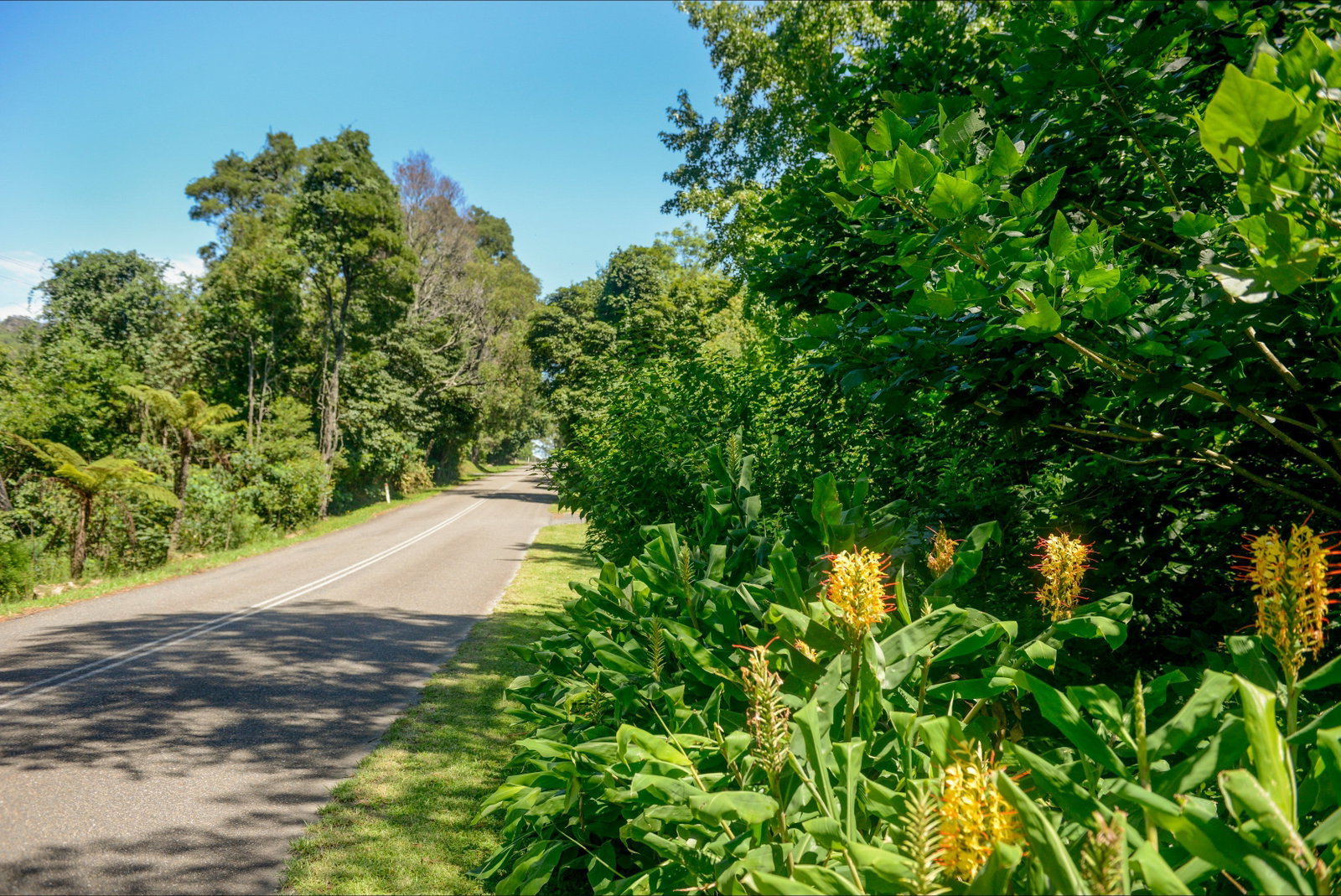 Broughton Vale NSW Tourism Adelaide