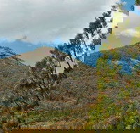 Burrowa-Pine Mountain National Park - Tourism Adelaide