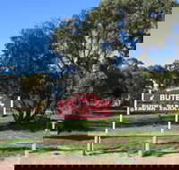 Bute - Tourism Adelaide