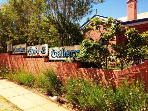 Cactus Cafe And Gallery - Tourism Adelaide 0
