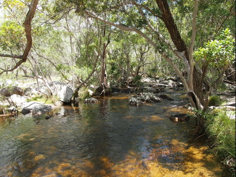 Emerald Creek, Dinden West Forest Reserve - Tourism Adelaide 1
