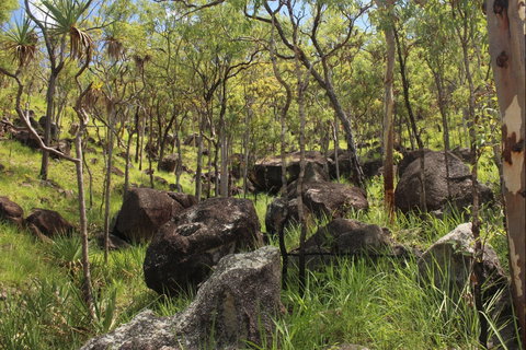 Emerald Creek, Dinden West Forest Reserve - Tourism Adelaide 2