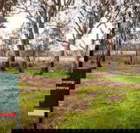 Gemmill Swamp Wildlife Reserve - Tourism Adelaide