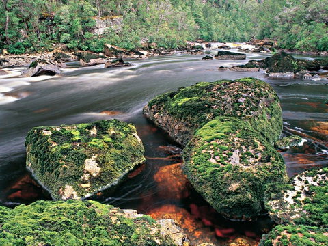 Gordon River - The - Tourism Adelaide 2