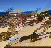 Gundersen Reserve - Tourism Adelaide