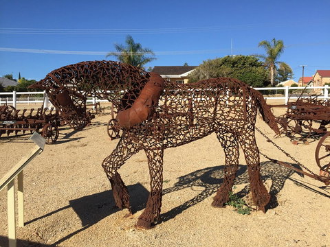 Gundersen Reserve - Tourism Adelaide 0