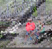 Gunbower Island Forest Drive - Tourism Adelaide