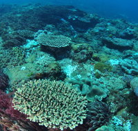 Hanging Rock Dive Site - Tourism Adelaide