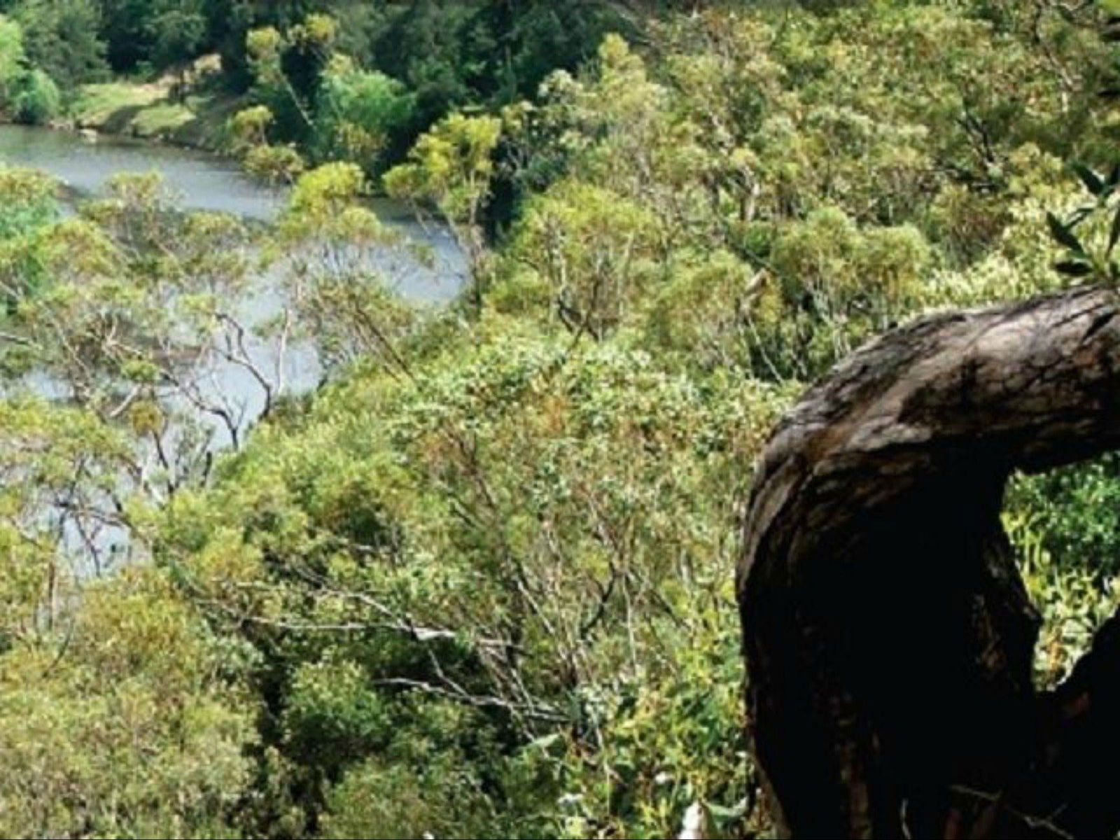 Gowrie NSW Tourism Adelaide