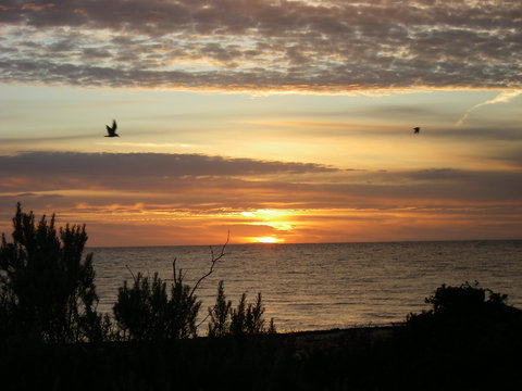 James Well - Tourism Adelaide 0