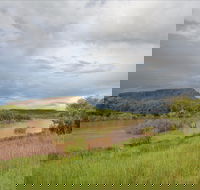 Judbarra / Gregory National Park - Tourism Adelaide