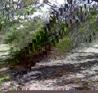 Lanky's Walk - Tourism Adelaide