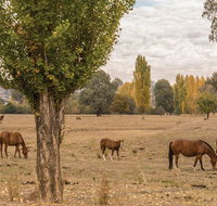 Lemington - Tourism Adelaide