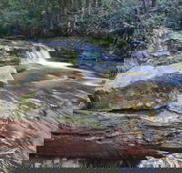 Liffey Falls Reserve - Tourism Adelaide