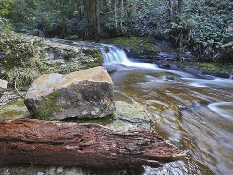 Liffey Falls Reserve - Tourism Adelaide 0