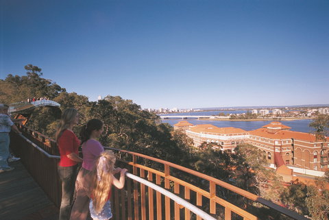 Lotterywest Federation Walkway - Kings Park - Tourism Adelaide 0