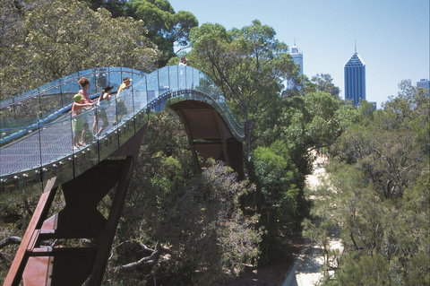 Lotterywest Federation Walkway - Kings Park - Tourism Adelaide 1