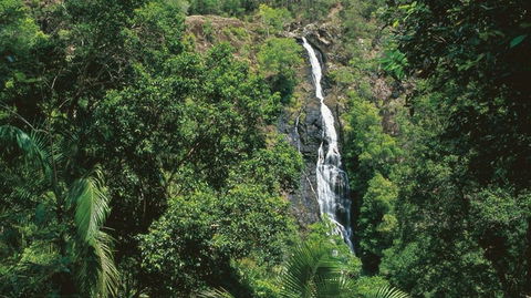 Mapleton - Tourism Adelaide 0