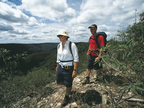 Mapleton - Tourism Adelaide 1