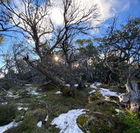 Mount Torbreck Summit Walk - Tourism Adelaide