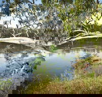 Murray Valley National Park - Tourism Adelaide